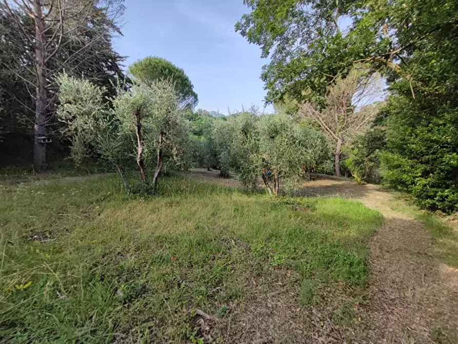 Immagine 35 di Deposito in vendita  a Palaia