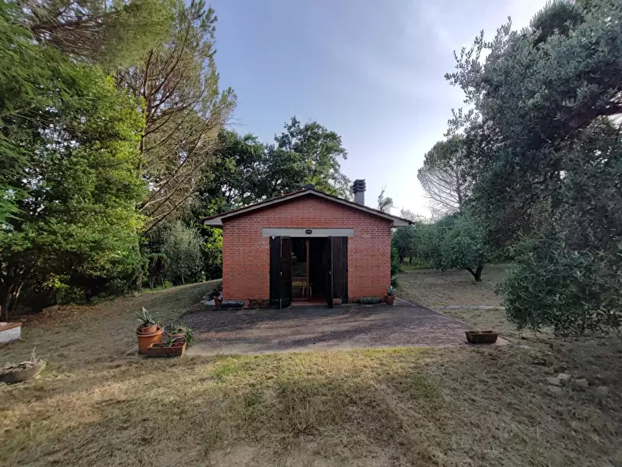 Immagine 10 di Deposito in vendita  a Palaia