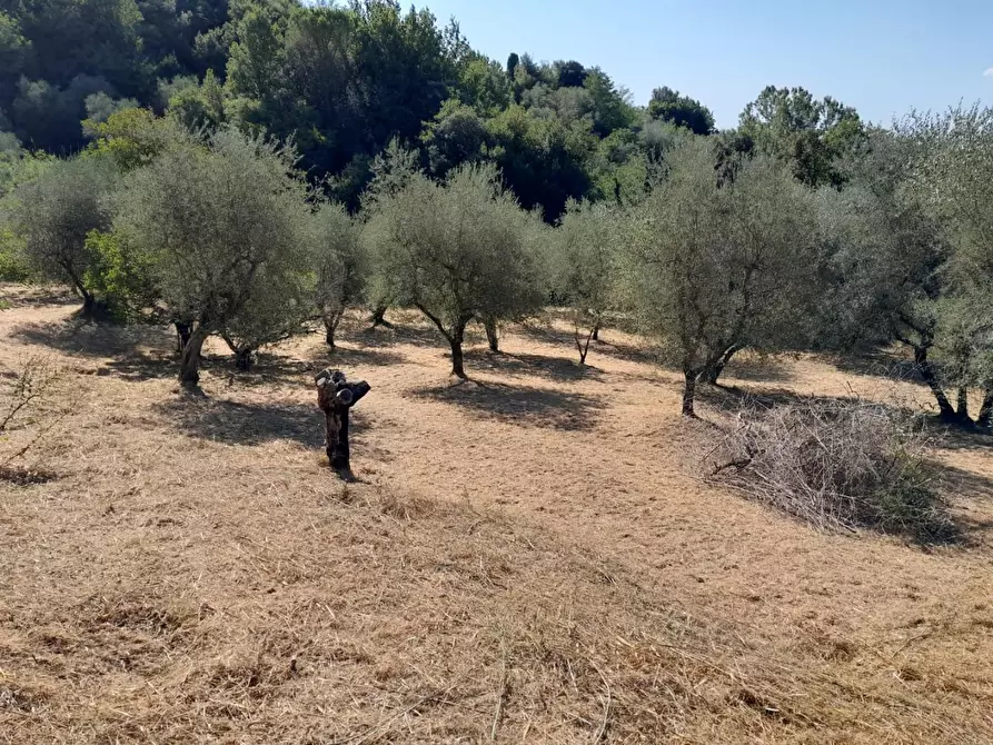 Immagine 12 di Deposito in vendita  a Palaia