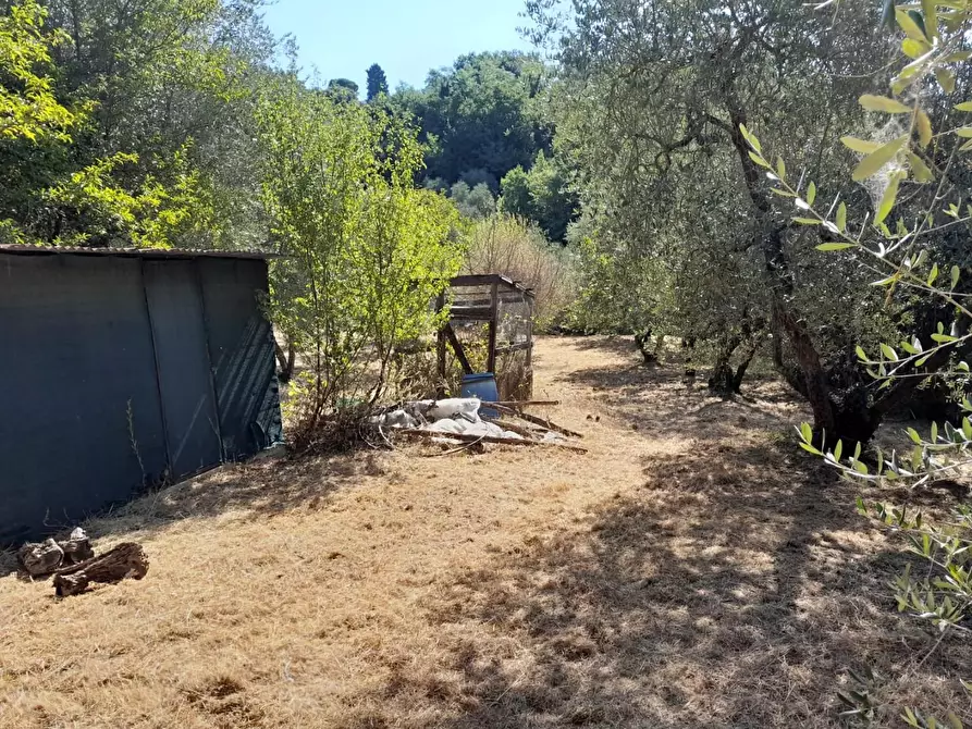 Immagine 20 di Deposito in vendita  a Palaia