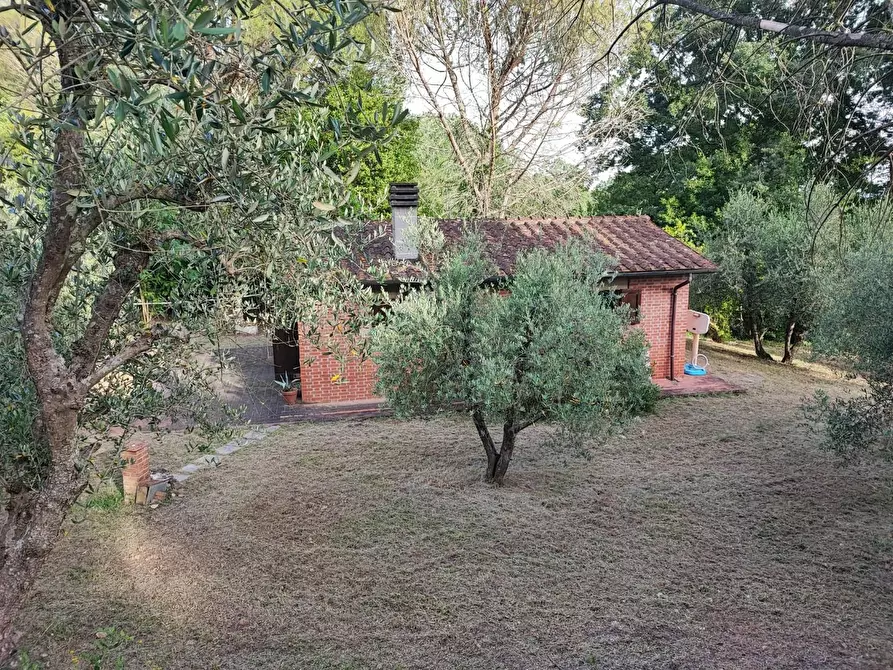 Immagine 14 di Deposito in vendita  a Palaia