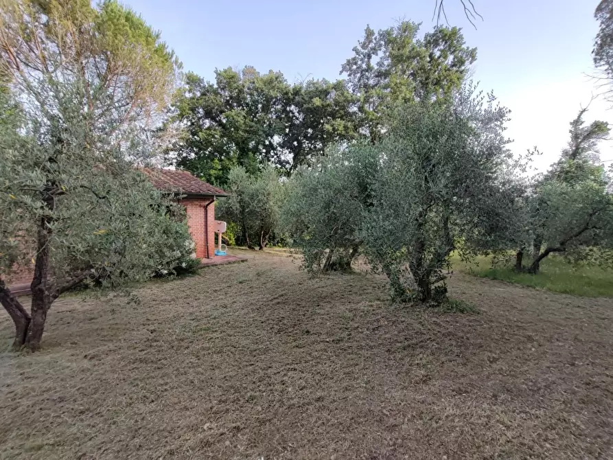 Immagine 28 di Deposito in vendita  a Palaia