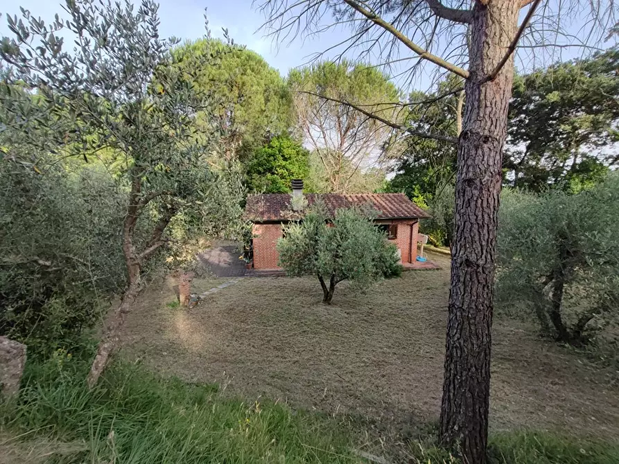 Immagine 33 di Deposito in vendita  a Palaia