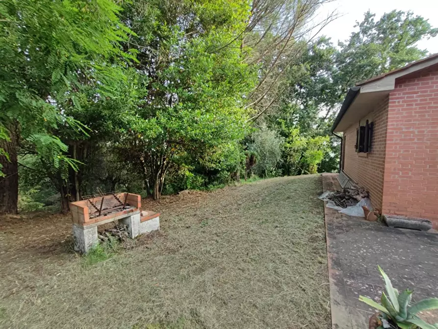 Immagine 25 di Deposito in vendita  a Palaia