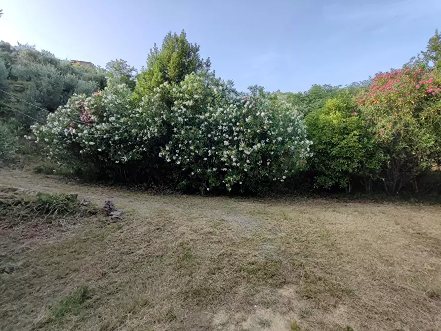 Immagine 27 di Deposito in vendita  a Palaia