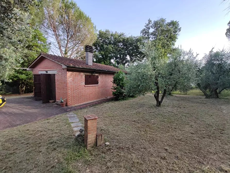 Immagine 23 di Deposito in vendita  a Palaia