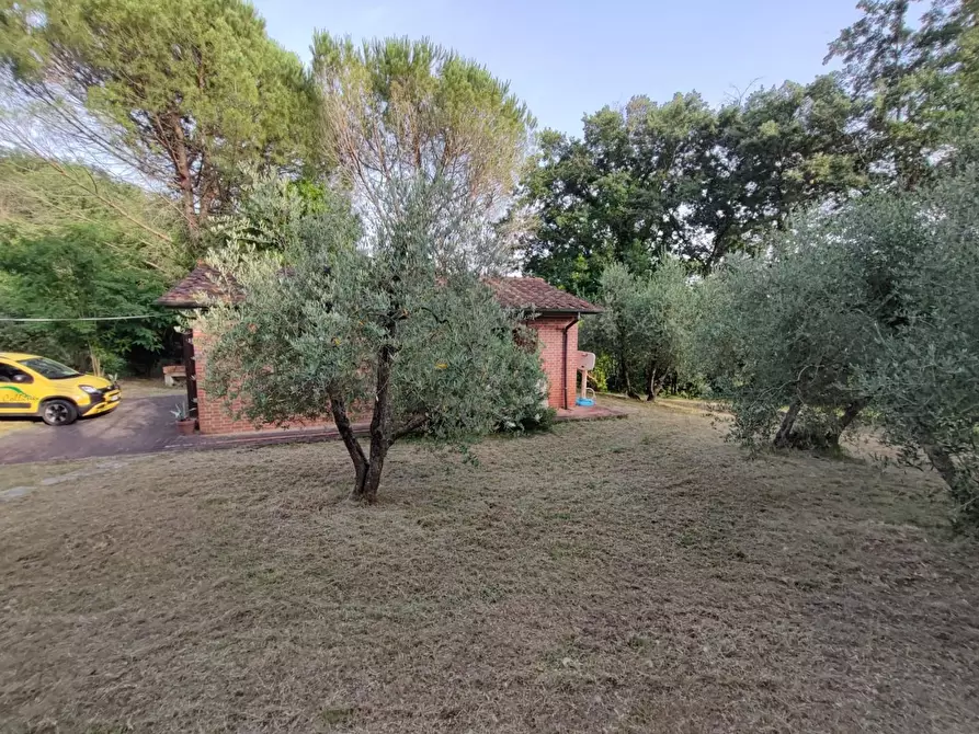 Immagine 29 di Deposito in vendita  a Palaia