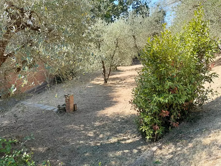 Immagine 18 di Deposito in vendita  a Palaia