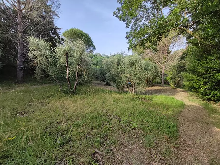 Immagine 37 di Deposito in vendita  a Palaia