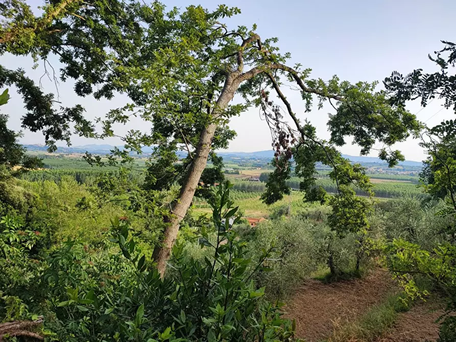 Immagine 30 di Deposito in vendita  a Palaia