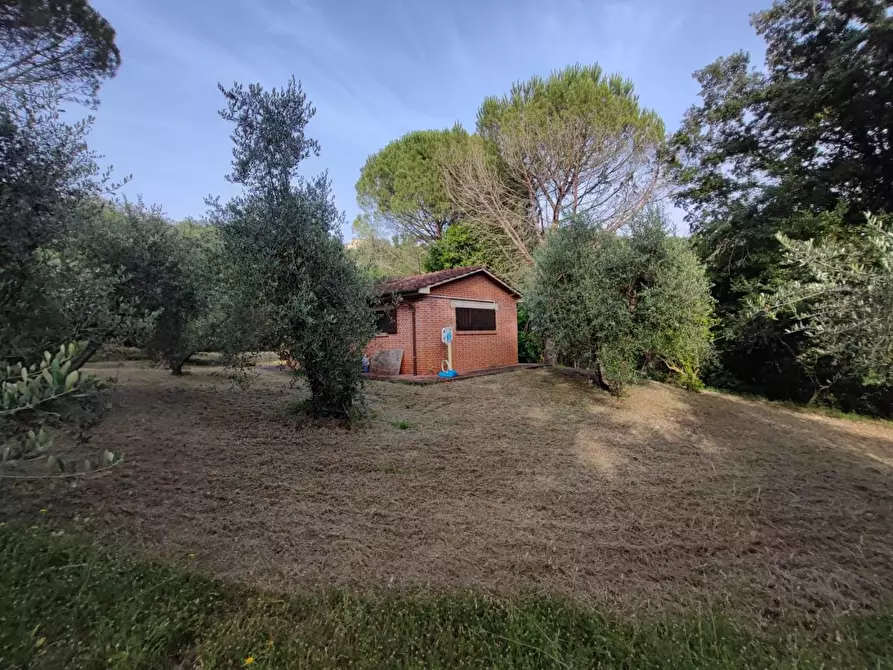 Immagine 22 di Deposito in vendita  a Palaia