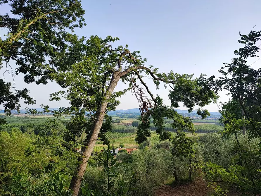 Immagine 11 di Deposito in vendita  a Palaia