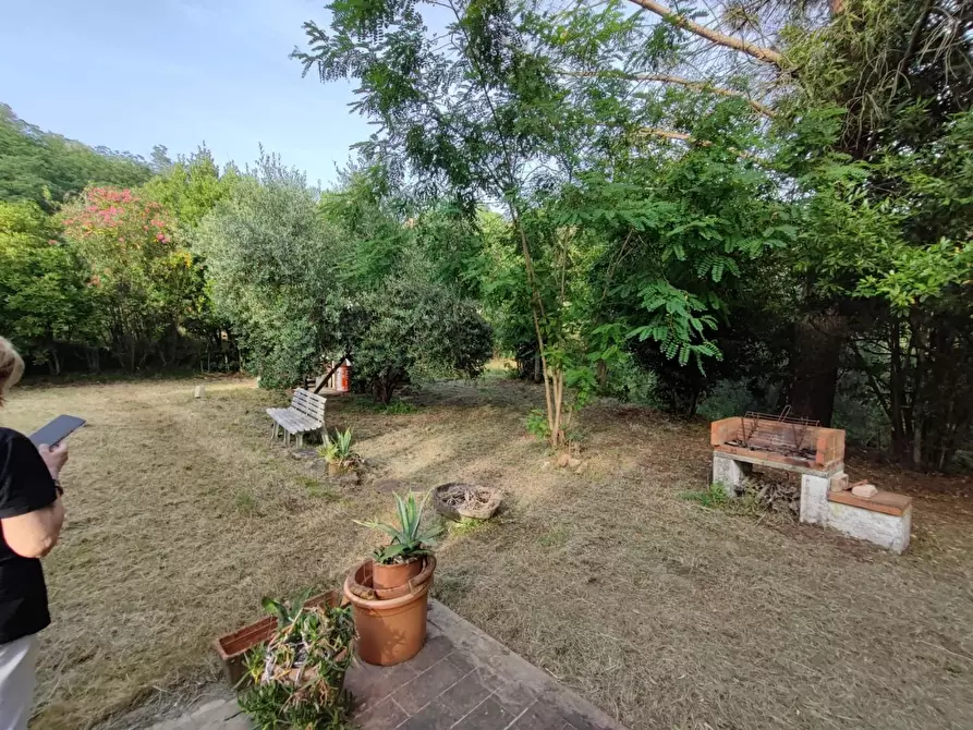 Immagine 36 di Deposito in vendita  a Palaia