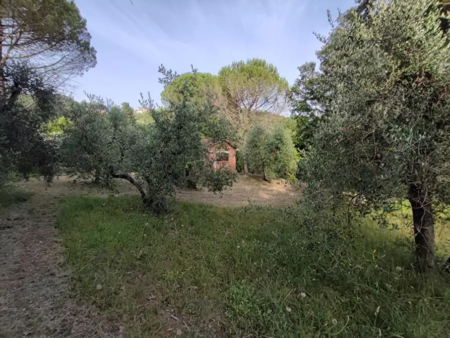 Immagine 26 di Deposito in vendita  a Palaia