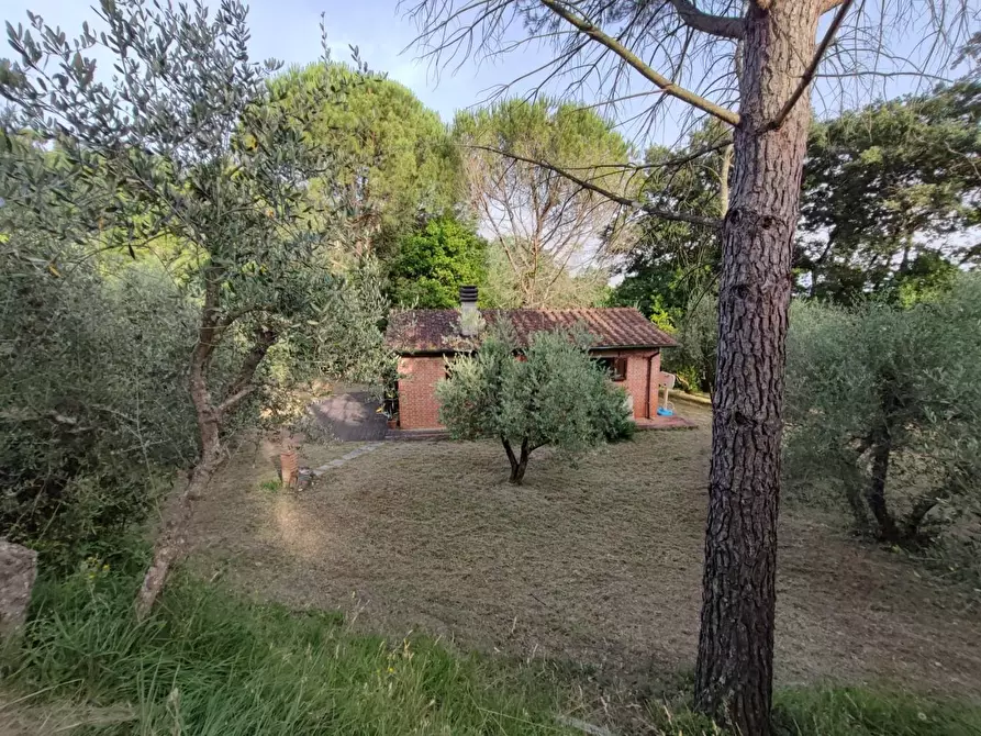 Immagine 32 di Deposito in vendita  a Palaia