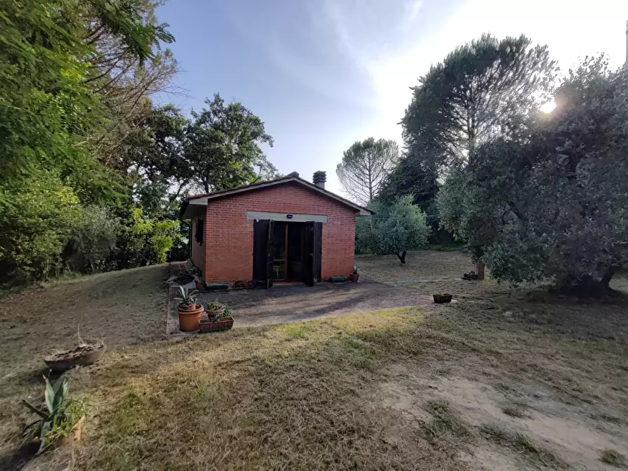 Immagine 8 di Deposito in vendita  a Palaia