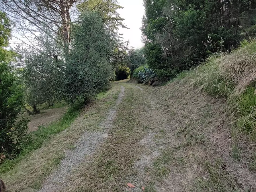 Immagine 31 di Deposito in vendita  a Palaia