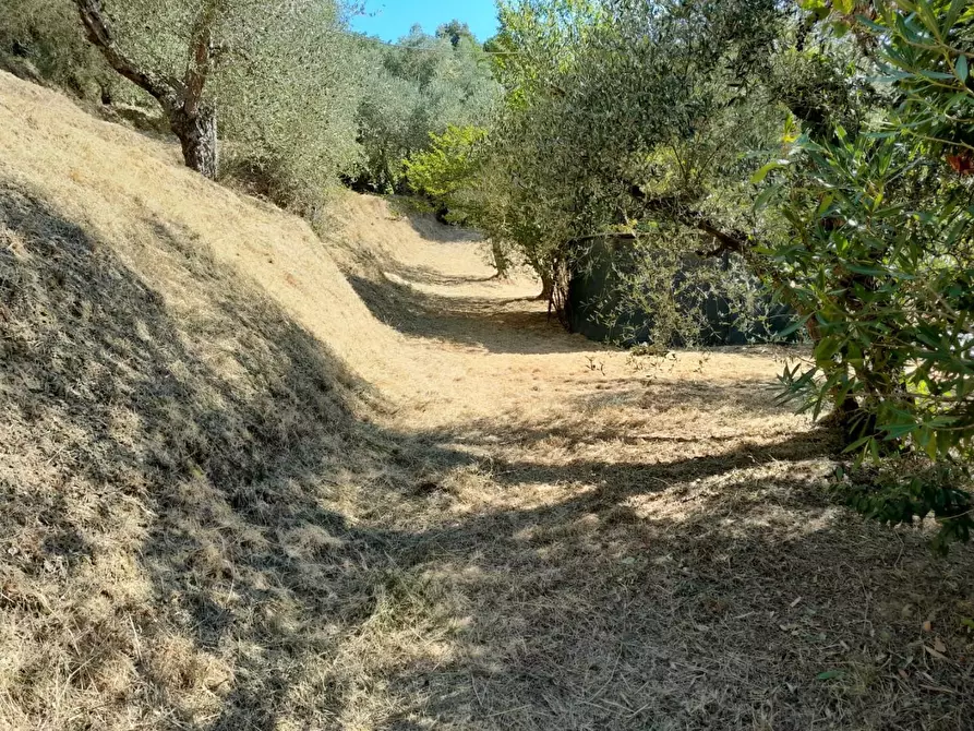 Immagine 17 di Deposito in vendita  a Palaia