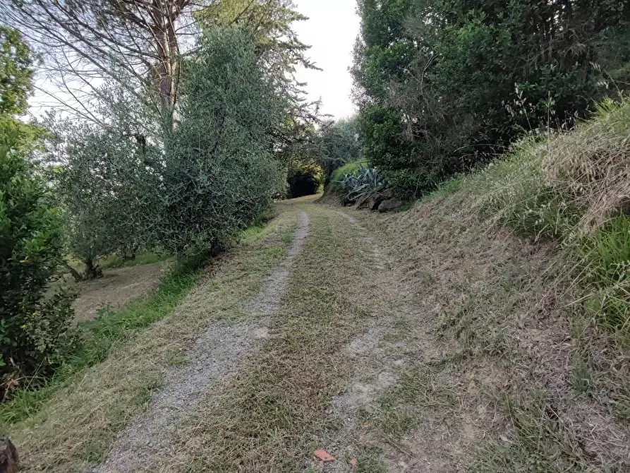 Immagine 34 di Deposito in vendita  a Palaia