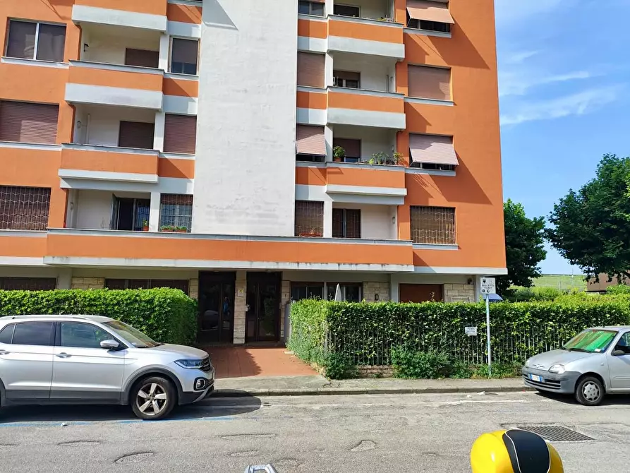 Immagine 11 di Appartamento in vendita  a Pisa