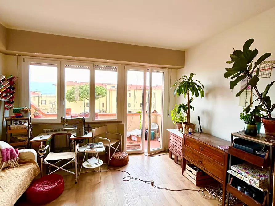 Immagine 3 di Appartamento in affitto  a Pisa