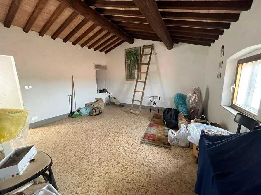 Immagine 26 di Terratetto in vendita  a Fauglia