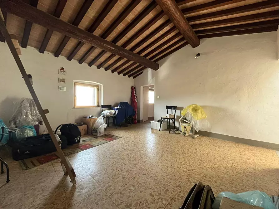 Immagine 28 di Terratetto in vendita  a Fauglia