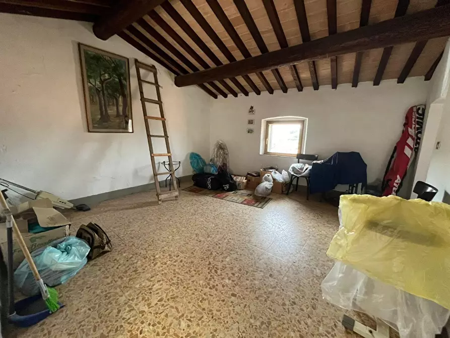 Immagine 25 di Terratetto in vendita  a Fauglia