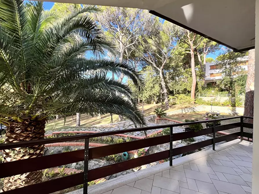 Immagine 22 di Villa in vendita  a Livorno