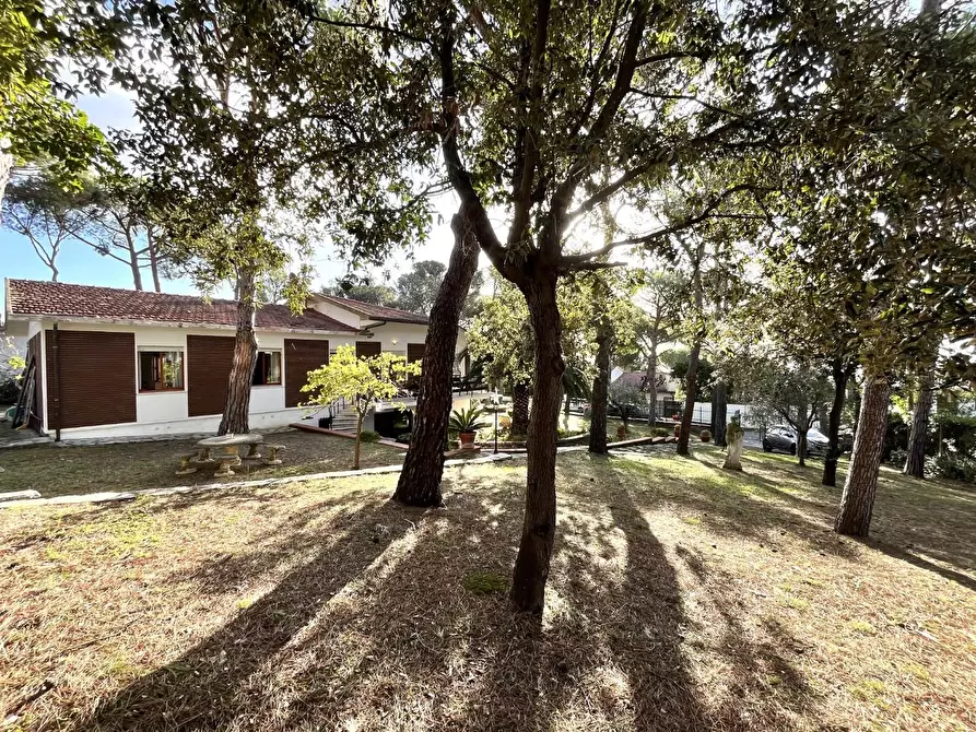 Immagine 11 di Villa in vendita  a Livorno