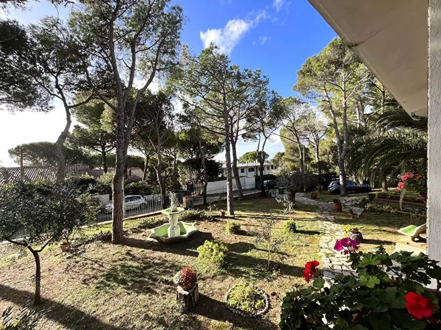 Immagine 10 di Villa in vendita  a Livorno