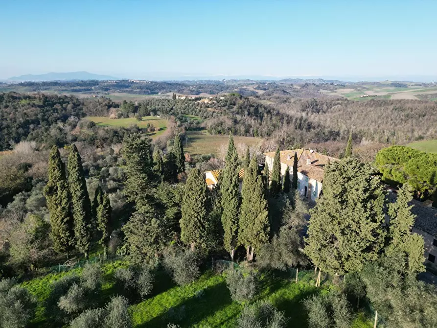 Immagine 30 di Casa indipendente in vendita  a Peccioli