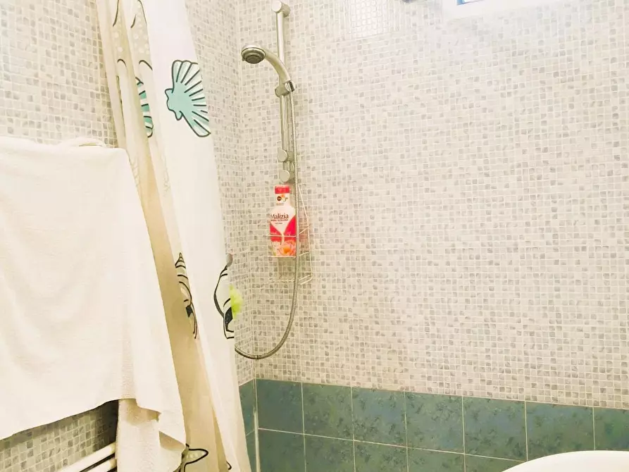 Immagine 8 di Casa semindipendente in vendita  a Massa