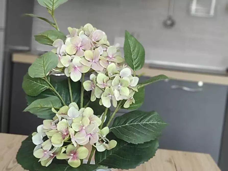 Immagine 4 di Appartamento in vendita  a Follonica