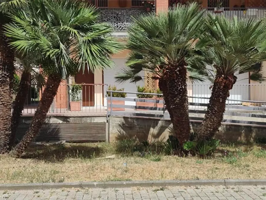 Immagine 14 di Appartamento in vendita  a Follonica