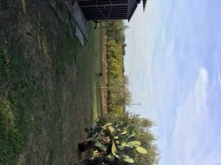 Immagine 26 di Porzione di casa in vendita  a Bibbona