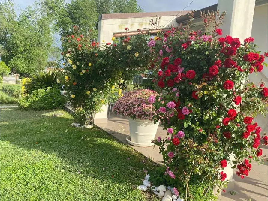 Immagine 10 di Villa in vendita  a Carrara