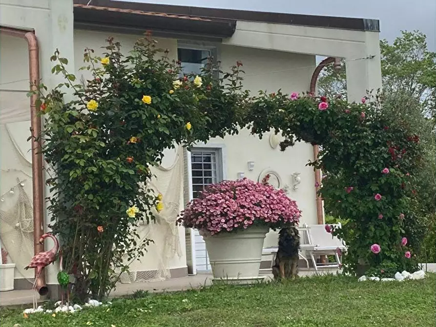 Immagine 11 di Villa in vendita  a Carrara