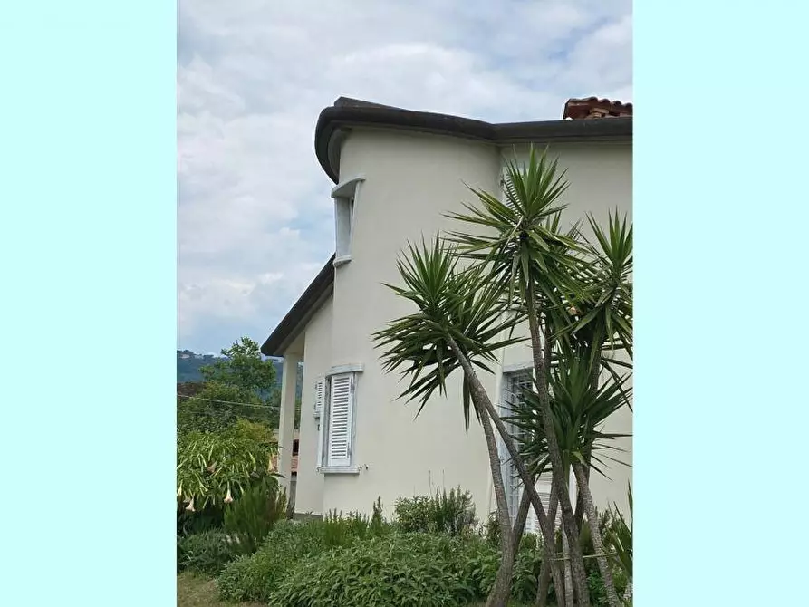 Immagine 4 di Villa in vendita  a Carrara