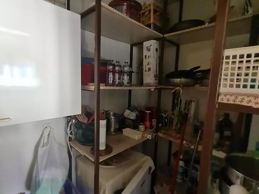 Immagine 6 di Appartamento in vendita  a Campiglia Marittima