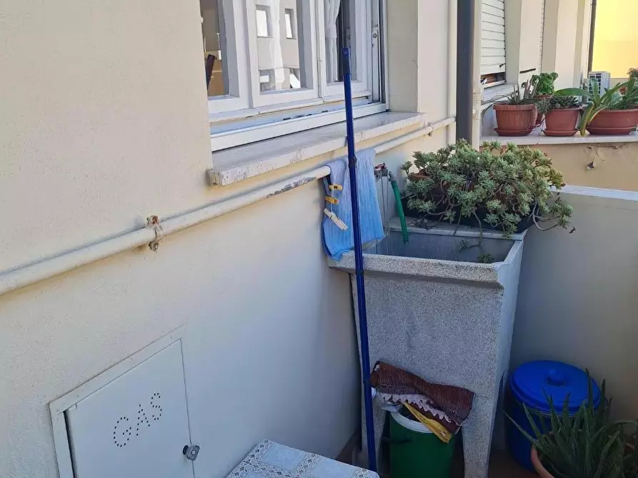 Immagine 10 di Appartamento in vendita  a Campiglia Marittima