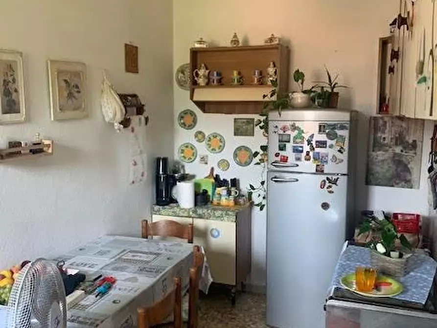 Immagine 2 di Appartamento in vendita  a Calci