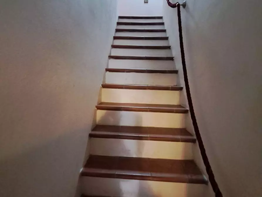 Immagine 11 di Appartamento in vendita  a Peccioli