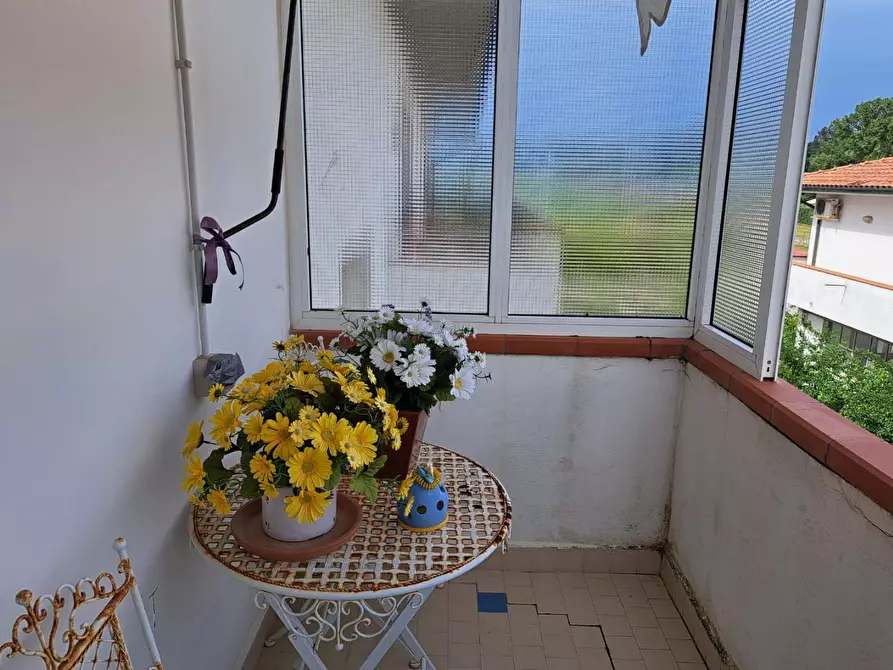 Immagine 16 di Appartamento in vendita  a Peccioli