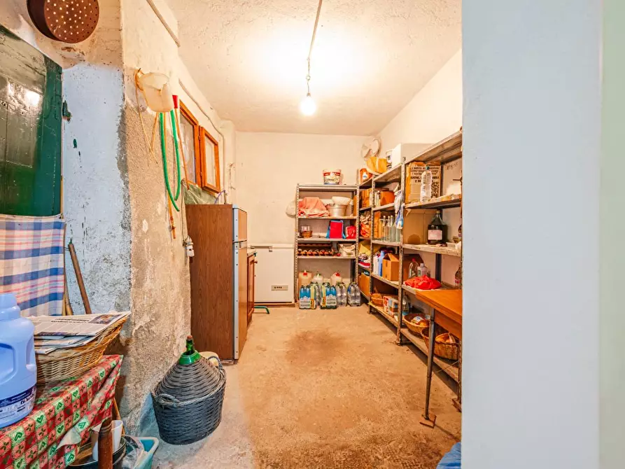 Immagine 49 di Terratetto in vendita  a Terricciola