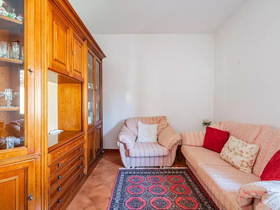 Immagine 34 di Terratetto in vendita  a Terricciola