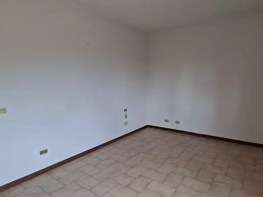 Immagine 73 di Terratetto in vendita  a Terricciola