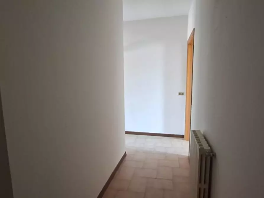 Immagine 53 di Terratetto in vendita  a Terricciola