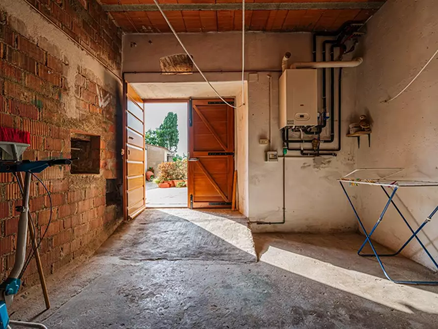 Immagine 50 di Terratetto in vendita  a Terricciola