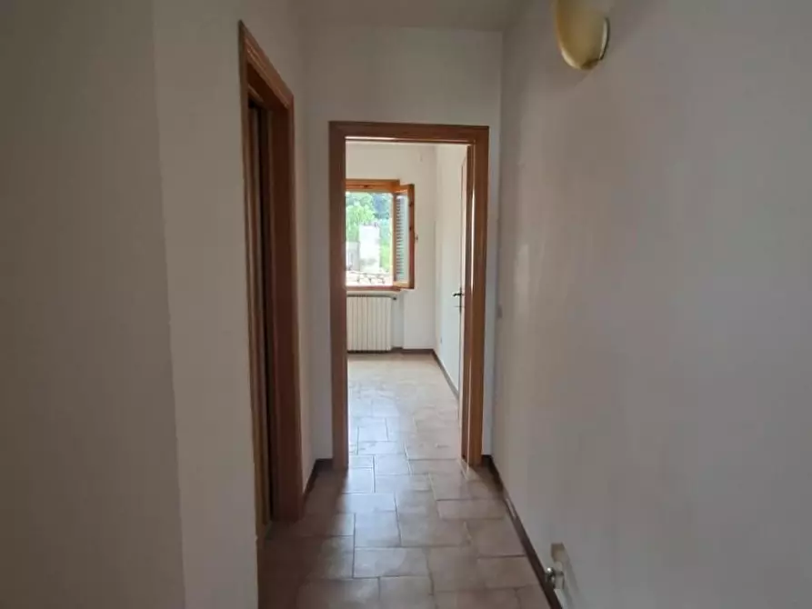 Immagine 22 di Terratetto in vendita  a Terricciola